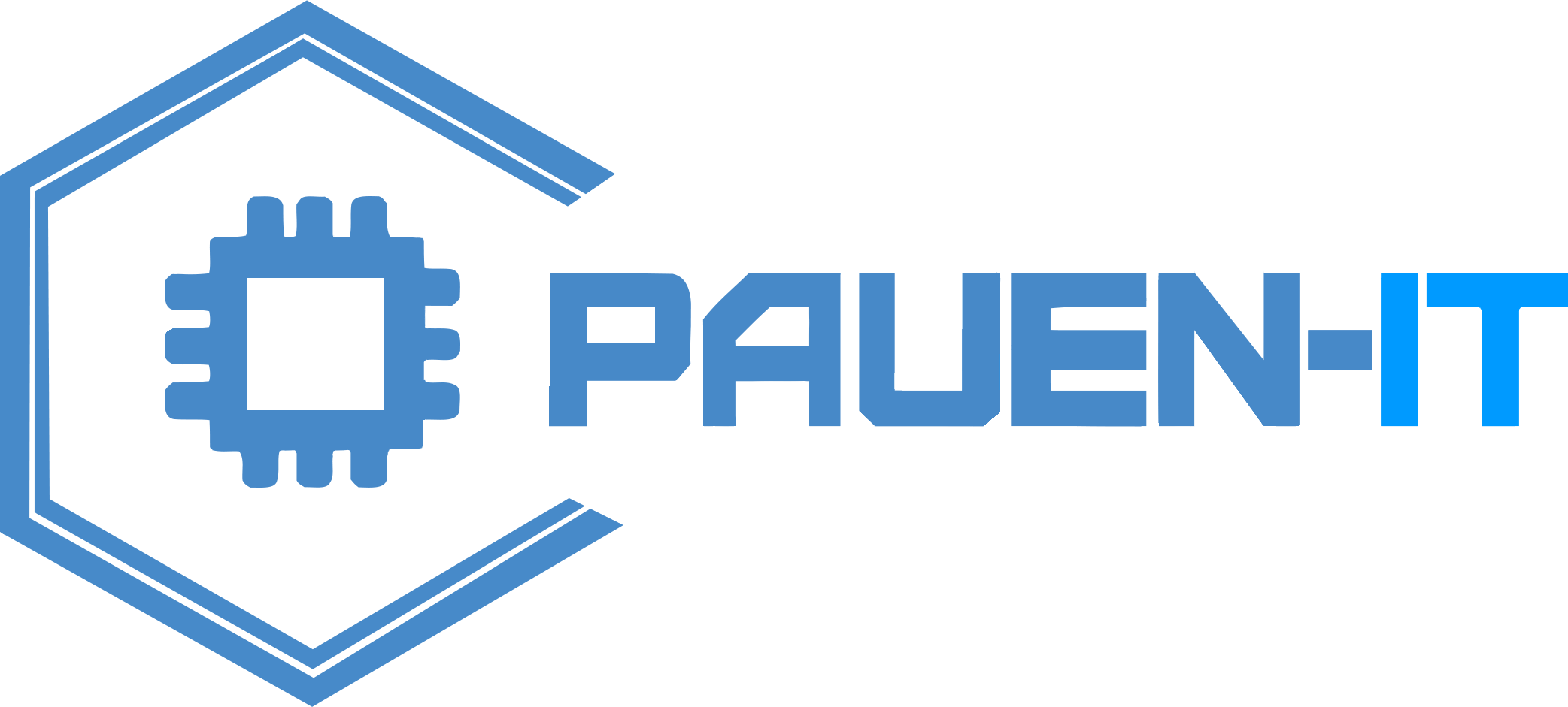 Pauen IT Logo