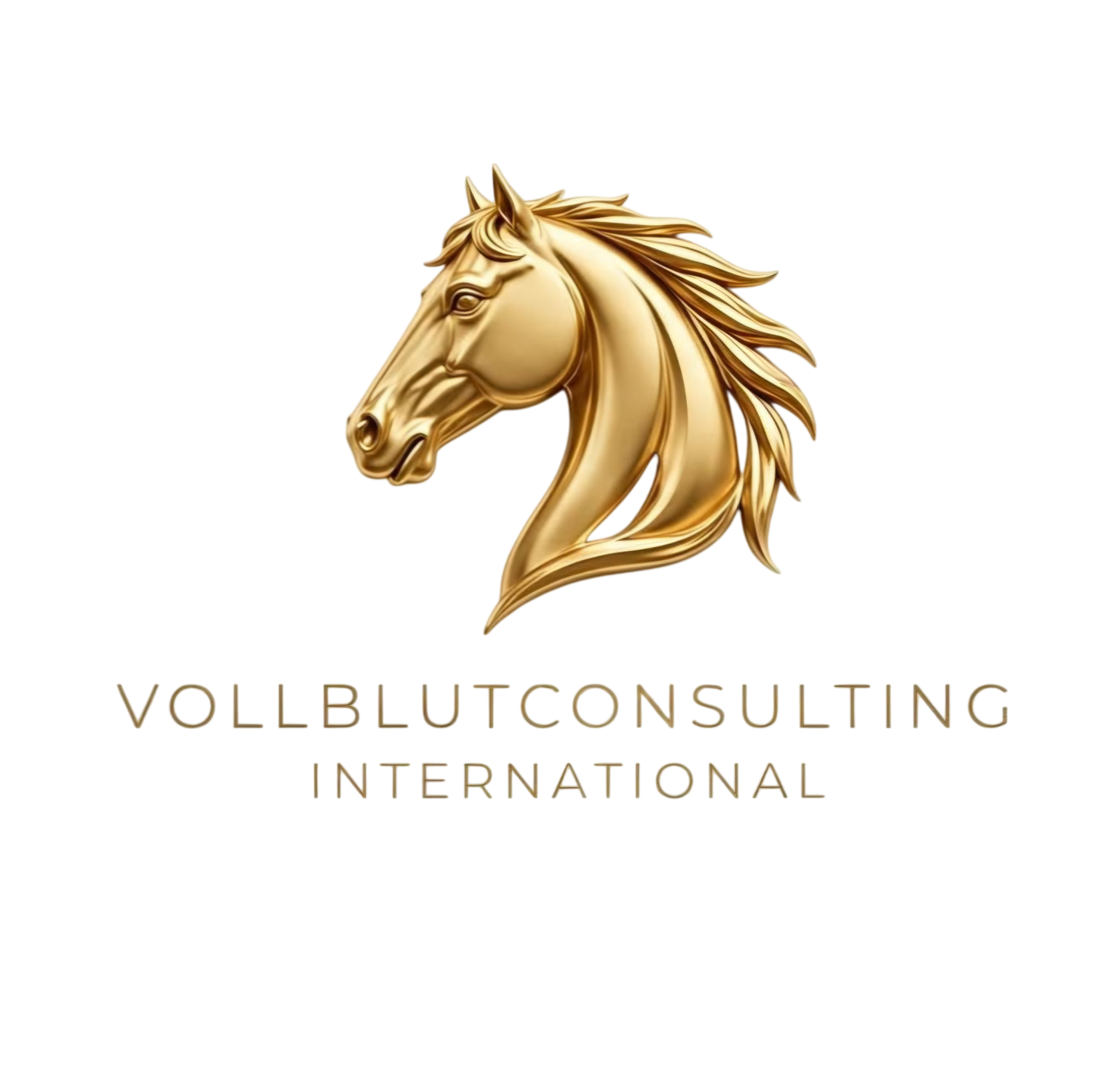 Logo Vollblutconsulting International